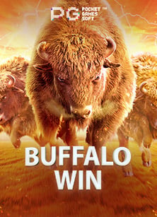 สัมผัสประสบการณ์ใหม่กับ ดู true sport 7SLOT